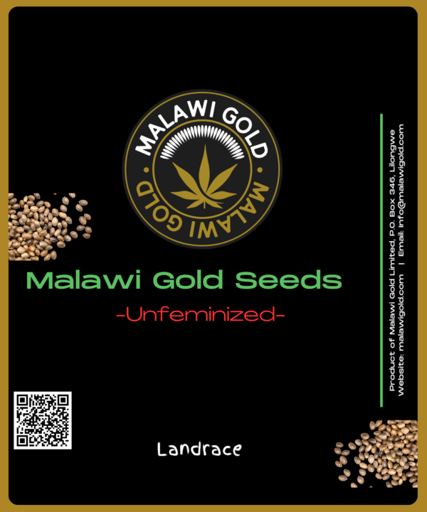 Unfeminized Malawi Gold Seeds (5pk,10pk,20pk)